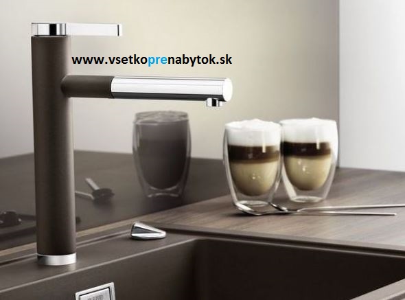 Vodovodná batéria LINEE-S so sprškou